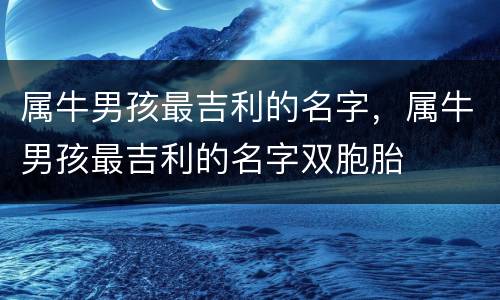 属牛男孩最吉利的名字，属牛男孩最吉利的名字双胞胎