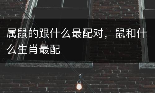 属鼠的跟什么最配对，鼠和什么生肖最配