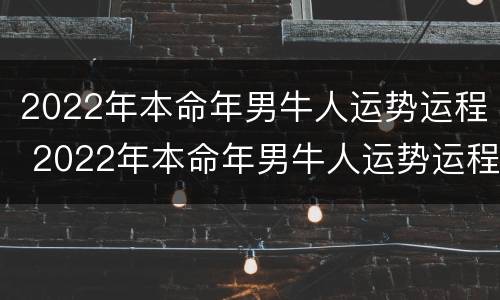 2022年本命年男牛人运势运程 2022年本命年男牛人运势运程查询