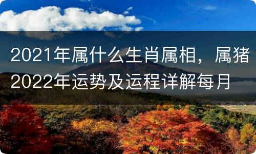 2021年属什么生肖属相，属猪2022年运势及运程详解每月