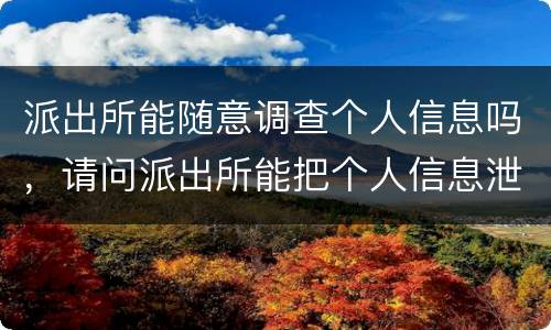 派出所能随意调查个人信息吗，请问派出所能把个人信息泄露给个人吗？
