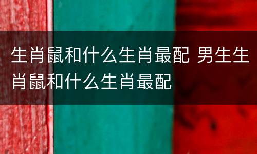 生肖鼠和什么生肖最配 男生生肖鼠和什么生肖最配