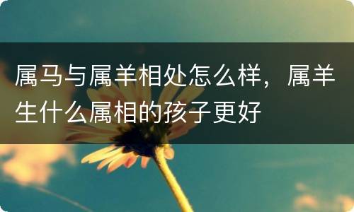 属马与属羊相处怎么样，属羊生什么属相的孩子更好