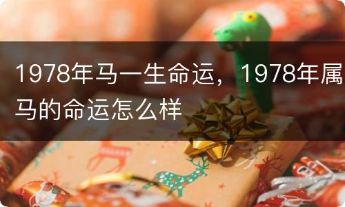 1978年马一生命运，1978年属马的命运怎么样