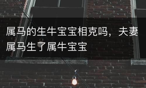 属马的生牛宝宝相克吗，夫妻属马生了属牛宝宝