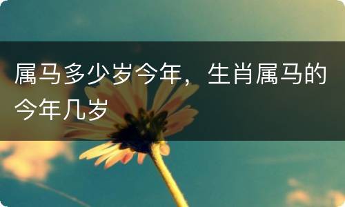 属马多少岁今年，生肖属马的今年几岁