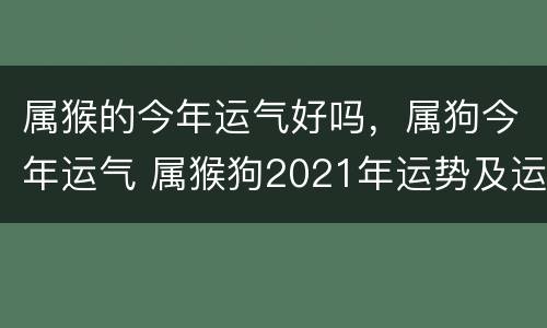 属猴的今年运气好吗，属狗今年运气 属猴狗2021年运势及运程