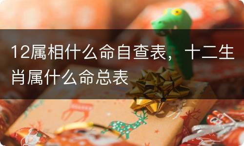 12属相什么命自查表，十二生肖属什么命总表