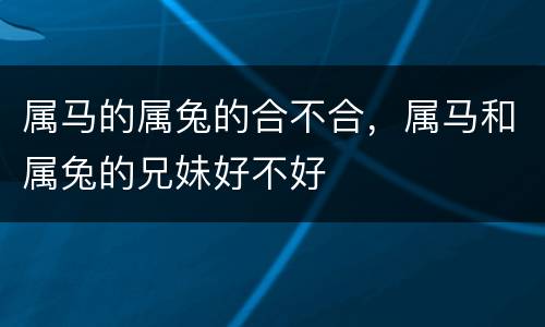 属马的属兔的合不合，属马和属兔的兄妹好不好
