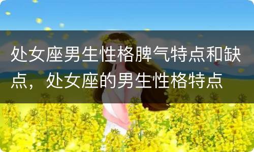 处女座男生性格脾气特点和缺点，处女座的男生性格特点
