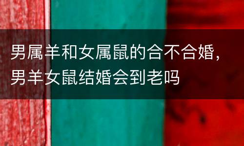 男属羊和女属鼠的合不合婚，男羊女鼠结婚会到老吗