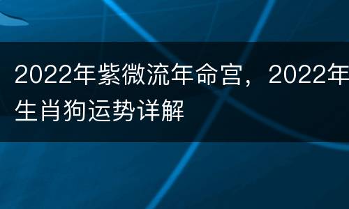 2022年紫微流年命宫，2022年生肖狗运势详解