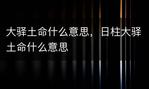 大驿土命什么意思，日柱大驿土命什么意思