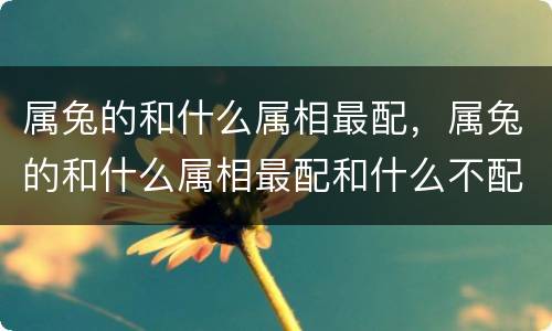 属兔的和什么属相最配，属兔的和什么属相最配和什么不配