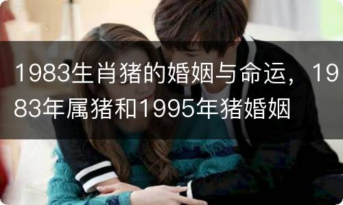1983生肖猪的婚姻与命运，1983年属猪和1995年猪婚姻