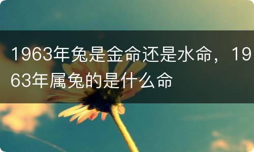 1963年兔是金命还是水命，1963年属兔的是什么命