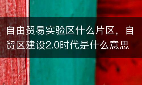 自由贸易实验区什么片区，自贸区建设2.0时代是什么意思