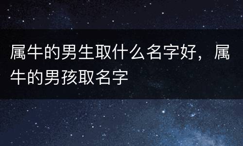 属牛的男生取什么名字好，属牛的男孩取名字