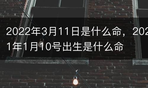 2022年3月11日是什么命，2021年1月10号出生是什么命