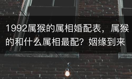 1992属猴的属相婚配表，属猴的和什么属相最配？姻缘到来的二