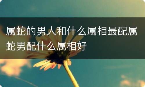 属蛇的男人和什么属相最配属蛇男配什么属相好