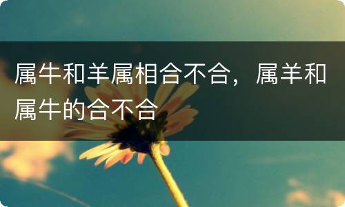 属牛和羊属相合不合，属羊和属牛的合不合