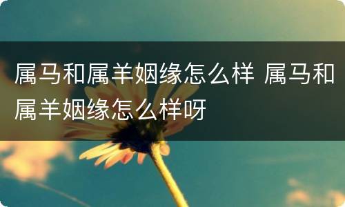 属马和属羊姻缘怎么样 属马和属羊姻缘怎么样呀