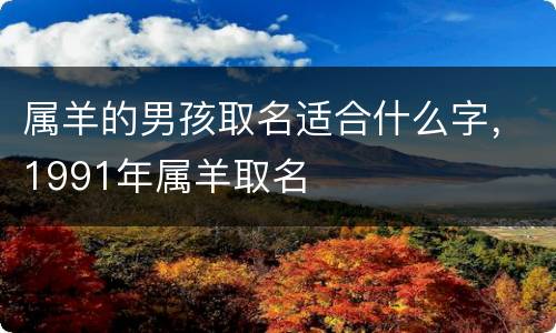 属羊的男孩取名适合什么字，1991年属羊取名