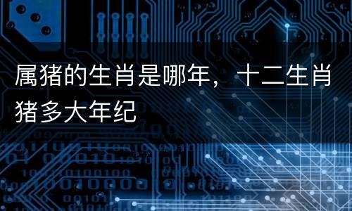属猪的生肖是哪年，十二生肖猪多大年纪
