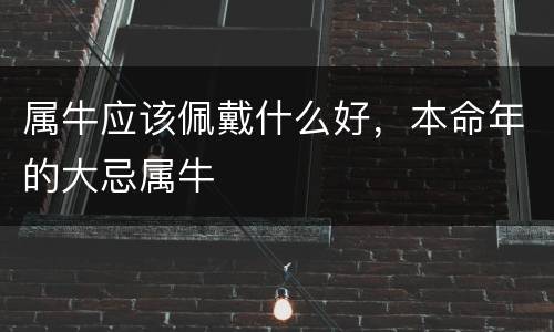 属牛应该佩戴什么好，本命年的大忌属牛