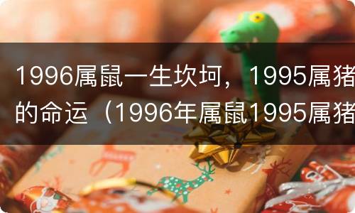 1996属鼠一生坎坷，1995属猪的命运（1996年属鼠1995属猪）