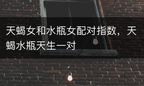 天蝎女和水瓶女配对指数，天蝎水瓶天生一对