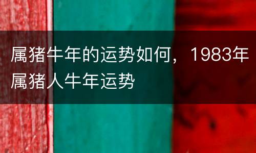 属猪牛年的运势如何，1983年属猪人牛年运势