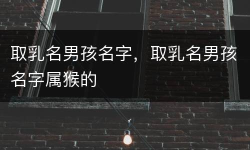 取乳名男孩名字，取乳名男孩名字属猴的