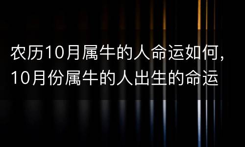 农历10月属牛的人命运如何，10月份属牛的人出生的命运