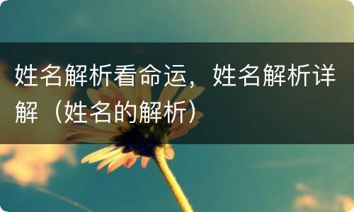 姓名解析看命运，姓名解析详解（姓名的解析）