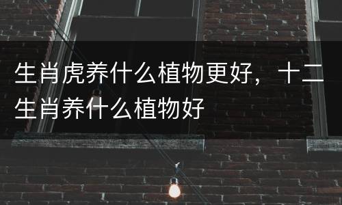 生肖虎养什么植物更好，十二生肖养什么植物好