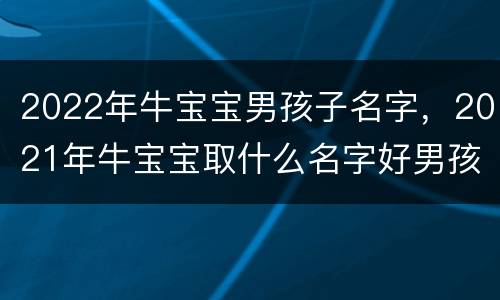 2022年牛宝宝男孩子名字，2021年牛宝宝取什么名字好男孩
