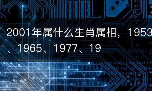 2001年属什么生肖属相，1953、1965、1977、19
