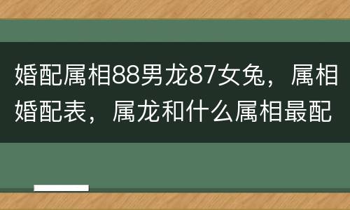 婚配属相88男龙87女兔，属相婚配表，属龙和什么属相最配
