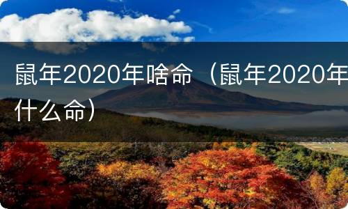 鼠年2020年啥命（鼠年2020年什么命）