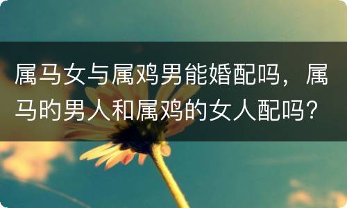 属马女与属鸡男能婚配吗，属马旳男人和属鸡的女人配吗?