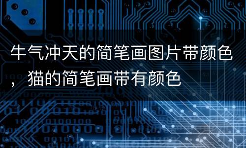 牛气冲天的简笔画图片带颜色，猫的简笔画带有颜色