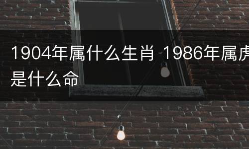 1904年属什么生肖 1986年属虎是什么命