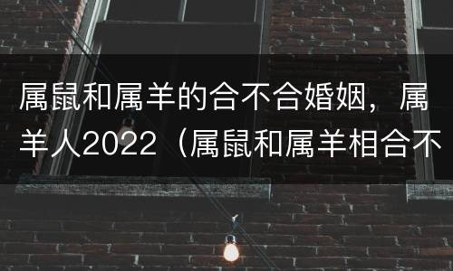 属鼠和属羊的合不合婚姻，属羊人2022（属鼠和属羊相合不合）