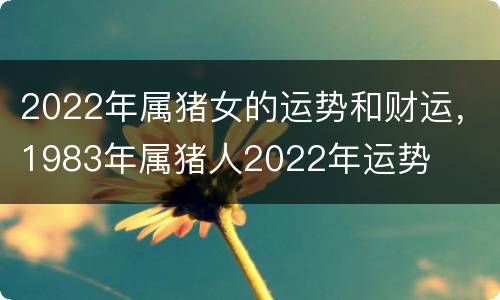 2022年属猪女的运势和财运，1983年属猪人2022年运势