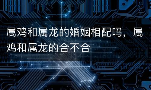 属鸡和属龙的婚姻相配吗，属鸡和属龙的合不合