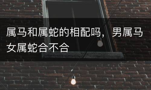 属马和属蛇的相配吗，男属马女属蛇合不合
