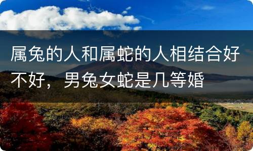 属兔的人和属蛇的人相结合好不好，男兔女蛇是几等婚