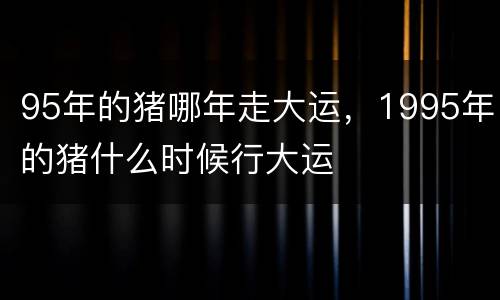 95年的猪哪年走大运，1995年的猪什么时候行大运